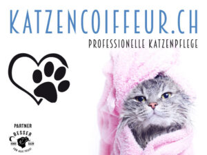 Katze in Frottiertuch von Katzecoiffeur.ch