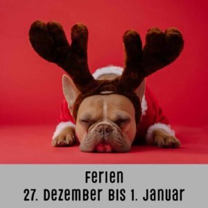 schlafender hund mit geweih vor rotem hintergrund