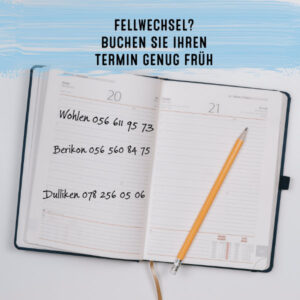 agenda mit bleistift und notizen