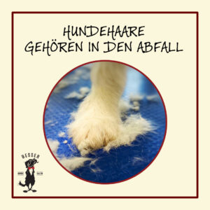 hundehaare gehören in den abfall