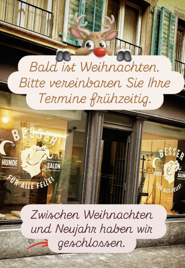 Termine rechtzeitig vereinbaren